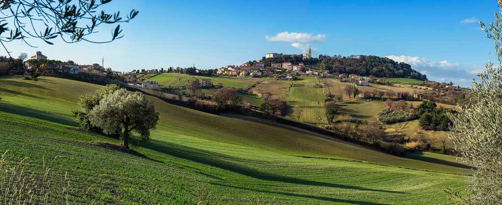 fotografia panoramica di Camerano, dove si trova l'Ortoconserviera Cameranese